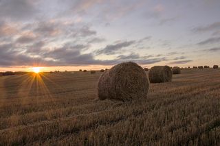 Солнце всходит над полем, но радовало оно нас совсем не долго, спряталось в тучки и больше мы его не видели.