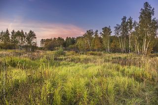 Осеннее поле на закате