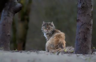 в дюнах мартовское