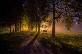 Туманная ночная аллея