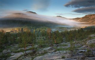 а какой там воздух !!!! естественный хвойный ингалятор