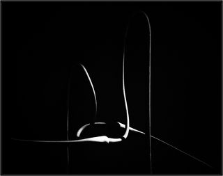 Недопонимание