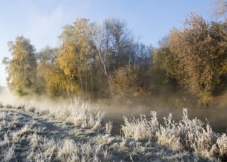 Осеннее утро