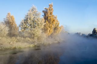 Осеннее утро