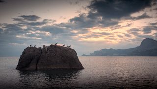 Птичий камень