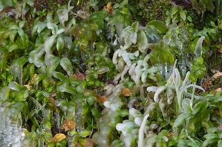 03 ... после чего их вид неузнаваемо преобразился