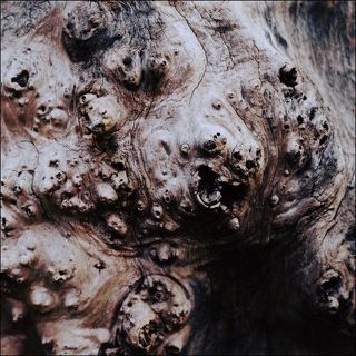 Рождение орков Сарумана.