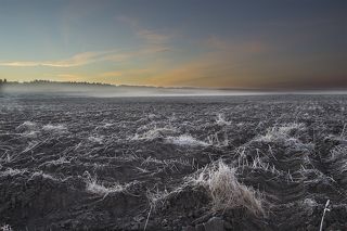 Утром, поле покрыто инеем, долина реки Ока в тумане