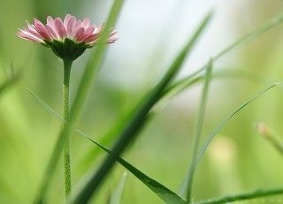 опыты с композицией)