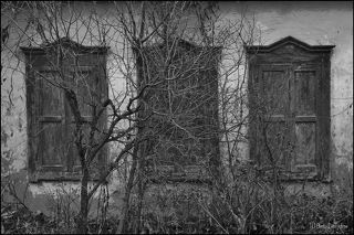 Предчувствие