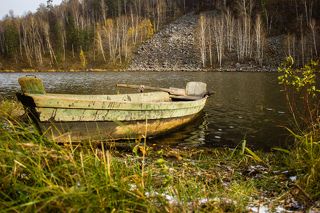 Днем светло, солнечно и желто-зелено