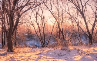 и первые морозы