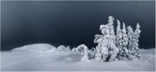 Черно-белый рассвет