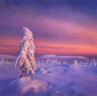 Снежная страна