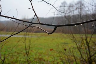 В прозрачных бусинах-монетках...