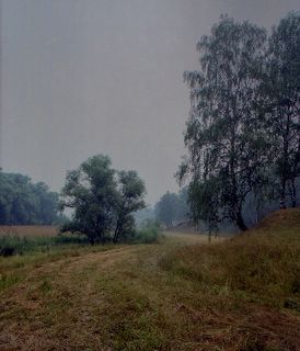 Пейзаж (жара, лето, 2010).