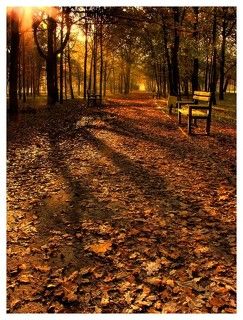 Осенний рассвет