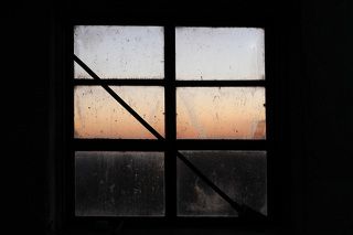 три цвета 

(с. Старая Богдановка, Николаевская область, Украина)