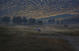 Наступающая темнота, она скроет все...