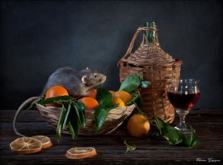 Мечтатель в мандаринах