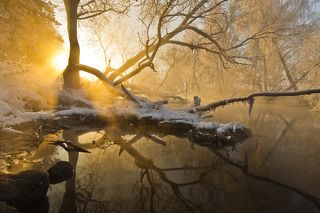 Зимний рассвет