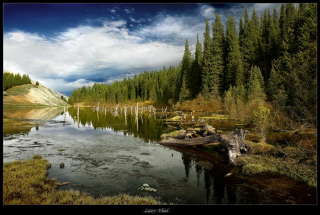 Заповедное место