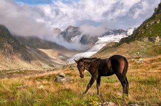 Давай знакомиться...