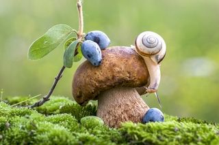 От меня еще никто не убежал ...