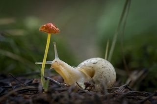 Что, опять лампочка перегорела ?...