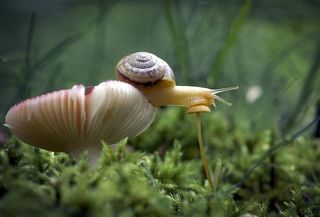 Притомилась ...