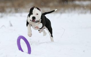 С игрушкой...