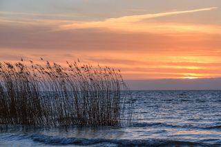 На службе у Солнца и Воды. Куршский залив, посёлок Рыбачий.