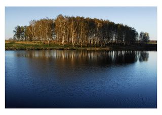 роща свиданий