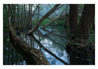 геометрия падения