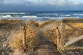 Последние дни осени