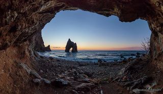 Из логова змея