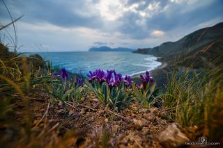 Пробуждение