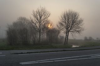 Туманное утро в Голландии