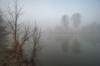 Туманное утро в Голландии
