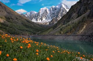 Мечта, Красавица и Сказка