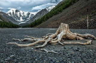 Мертвое озеро Маашей