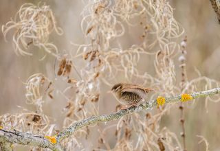 Маленький пропеллер
