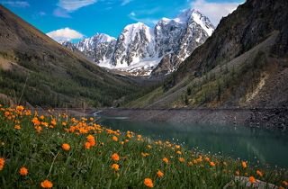 Зато Мечта, Сказка и Красавица   сверкали своим великолепием в вечерних лучах солнца.