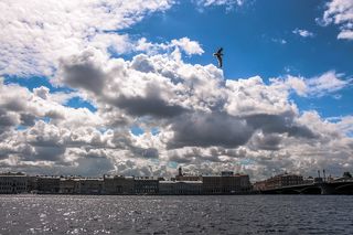Вездесущие чайки