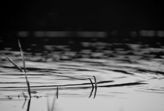 Нюансы реки