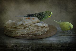 Икринка куда-то закатилась!