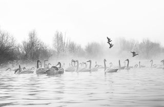 За несколько минут до рассвета...