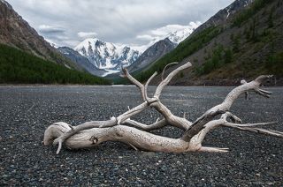 Долина мертвого озера, длиной почти в 1,5 км, заполнена мелкообломочным  материалом - продуктом абразивной деятельности ледников, годами приносимым сюда водами Мажоя.