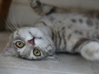 этож надо было так набратся