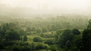 Сходненский ковш, раннее утро